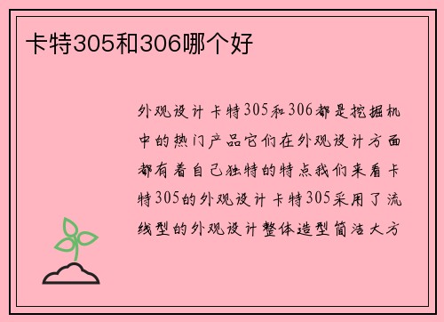 卡特305和306哪个好