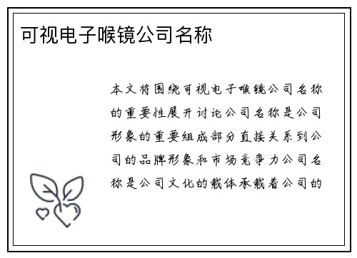 可视电子喉镜公司名称