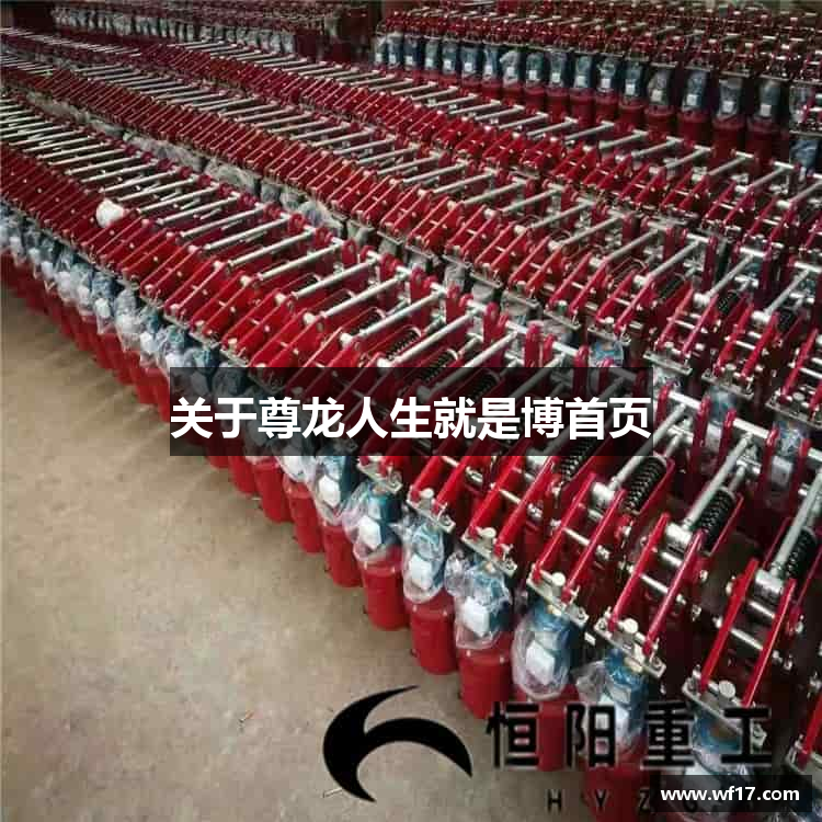 关于尊龙人生就是博首页